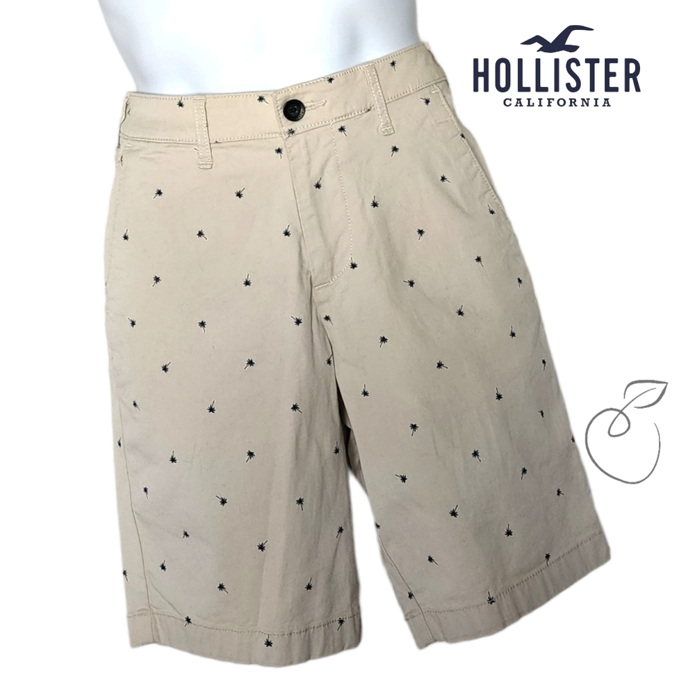 HOLLISTER MEN'S EPIC FLEX CLASSIC SHORTS SZ 28 - Picture 11 of 12
